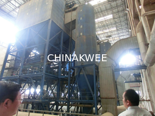 China Biomass Energy Power Plant supplier