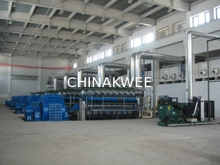 China 11000V Stationary / Land Diesel or heavy fuel oil or gas Genset Power Plant supplier