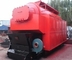 Biomass Water Tube Oil Steam Boiler Circulating Fluidized Bed Biomass Gasification supplier