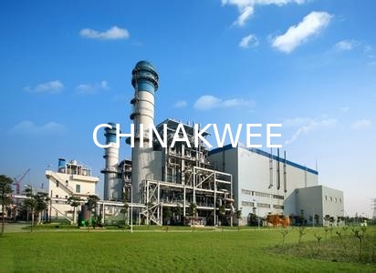 Dual Fuel Gas Fired Power Plants High Efficiency Diesel Power Station supplier